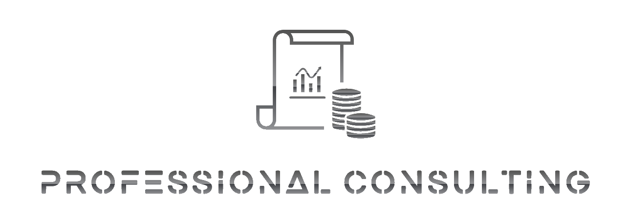 PROFESSIONAL CONSULTING